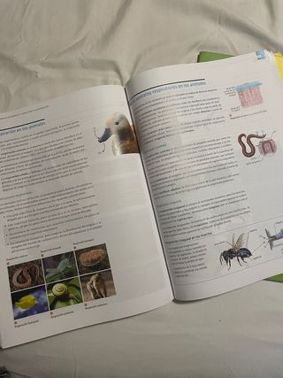 BIOLOGIA Y GEOLOGIA 1º BACHILLERATO