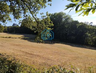 Terreno en venta en Begonte