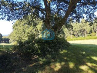 Terreno en venta en Begonte