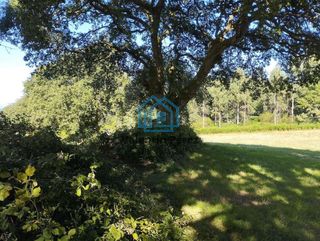 Terreno en venta en Begonte