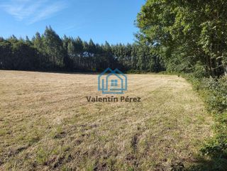 Terreno en venta en Begonte