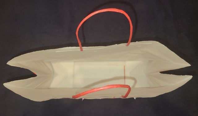 Bolsa de papel Havaianas multicolor