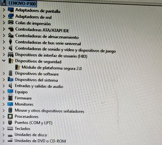 Ordenador Lenovo ThinkStation P310