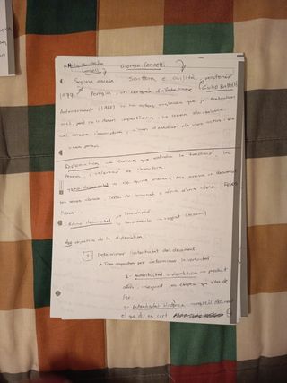 Apuntes Asignatura Paleografía y Diplomática