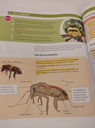 Biologia i Geologia 1 ESO  Construint Mons - 9788413150437