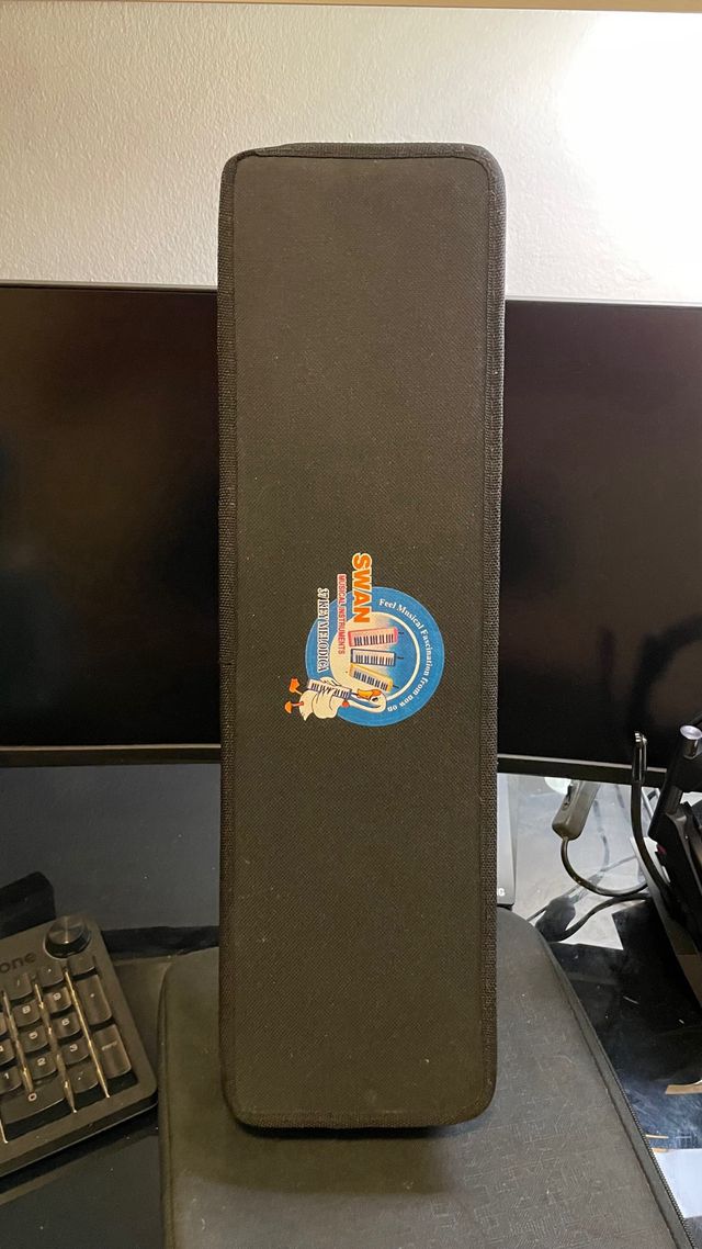 Melódica nueva con funda