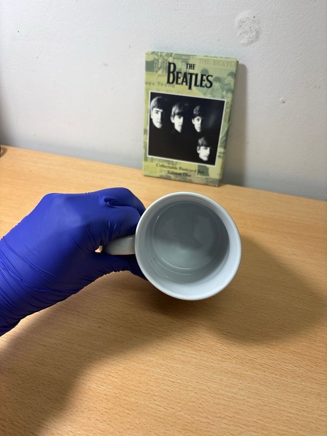 Taza The Beatles
