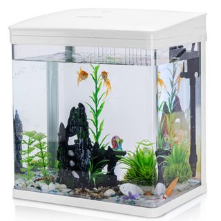 Acuario 14L con Luz LED