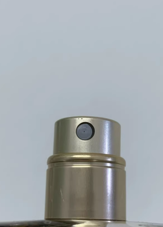 Chanel Gabrielle EDP 100ml