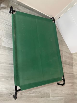 Cama para perros verde