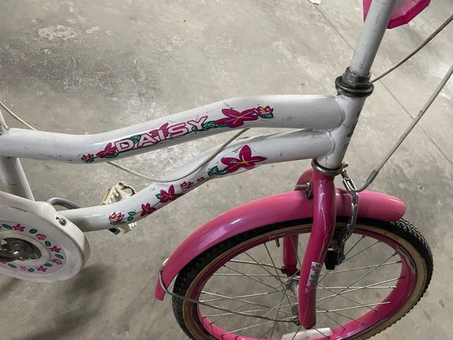 Bici da bambina 20 pollici rosa