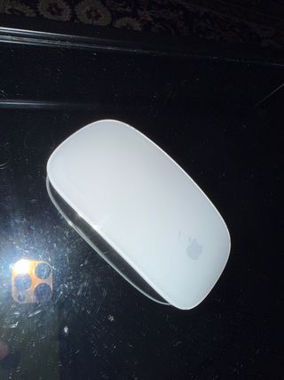 Ratón Apple Magic Mouse 1 