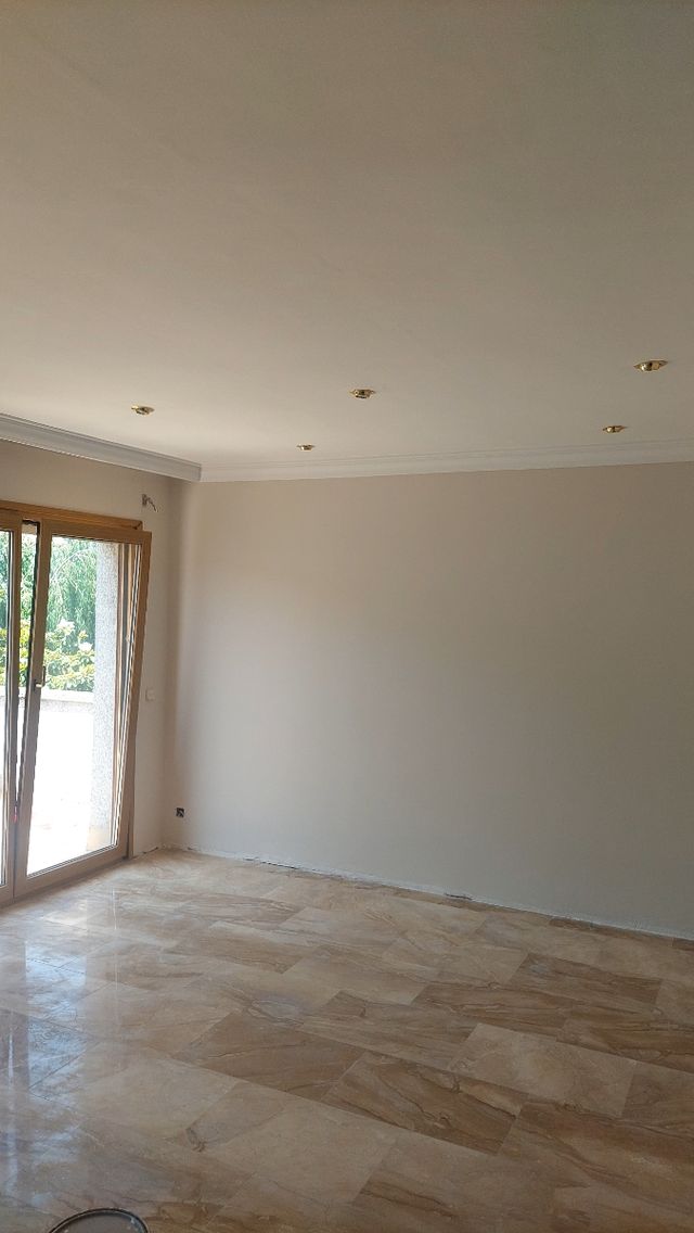 Electricidad y pintura