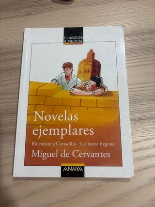 Novelas ejemplares: Rinconete y Cortadillo/La i...