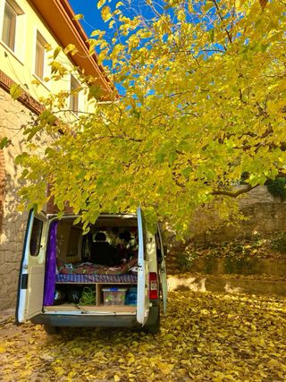 Furgoneta Ford Transit