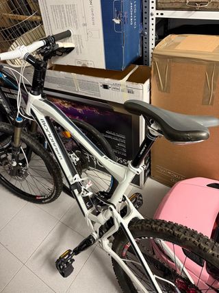 Bicicleta de Montaña
