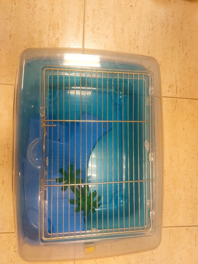 Jaula para tortuga azul y transparente