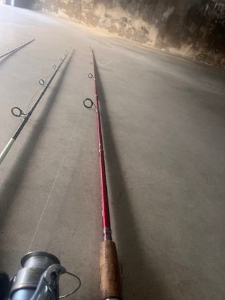 3 Cañas de Pesca con carretes. también separado