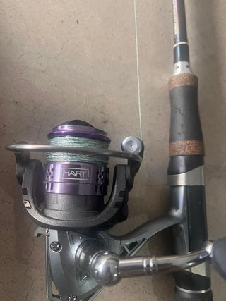 3 Cañas de Pesca con carretes. también separado