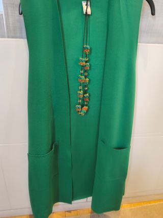 Chaleco y collar verde