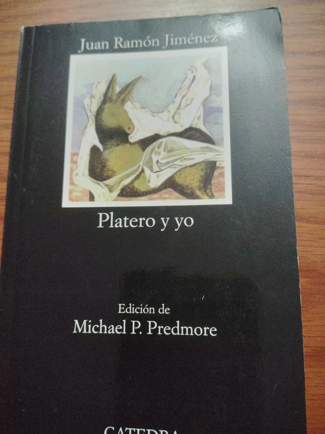 Anna Livia Plurabelle (Letras Universales) (Spa...