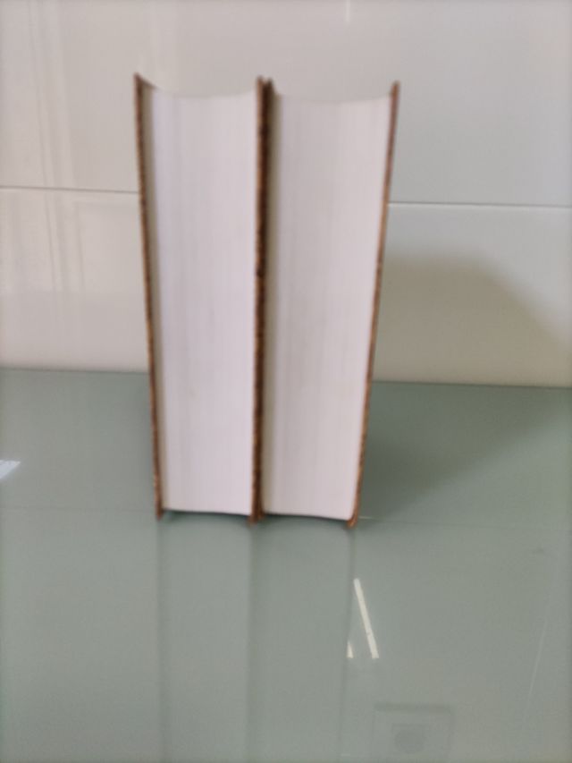 Diccionario De La Lengua Espanola