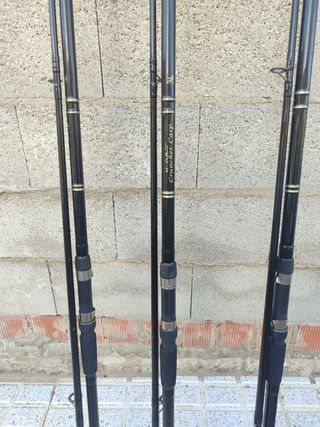Cañas y funda de carpfishing