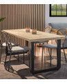 Mesa extensible JACK