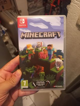 Caja Minecraft Nintendo Switch (SOLO CAJA)
