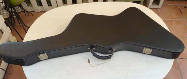 LTD EX-50 Guitarra Eléctrica con Maletín,por 550€