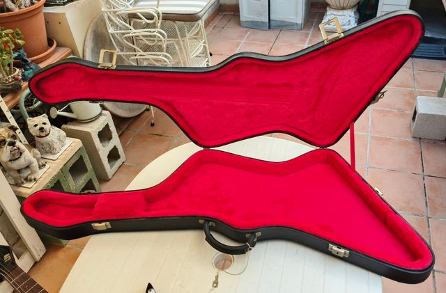 LTD EX-50 Guitarra Eléctrica con Maletín,por 550€