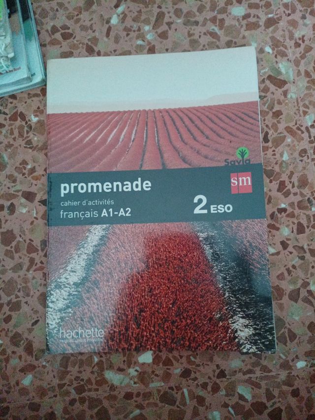 Cahier de français. 2 ESO. Promenade