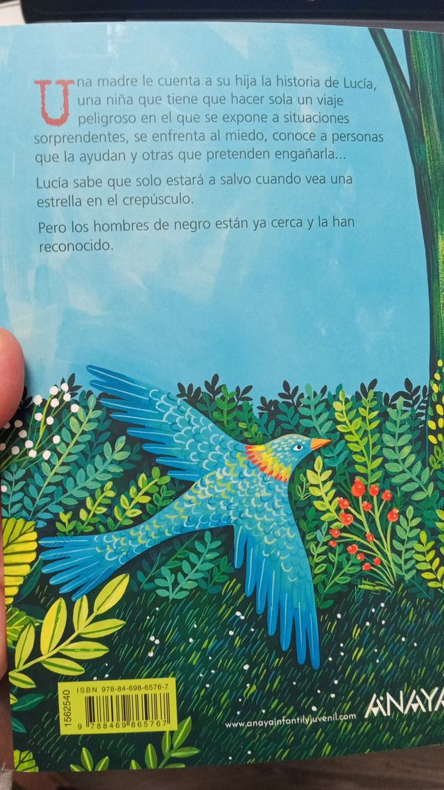 Verás caer una estrella (Spanish Edition)