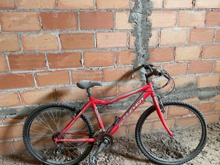Bicicletas 