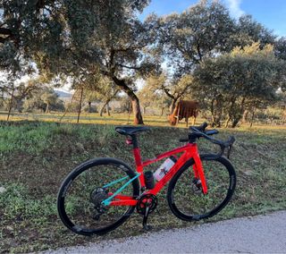BH G8 Carbono Bicicleta de Carretera talla XS 
