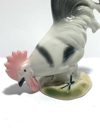 Gallina in porcellana con vari colori