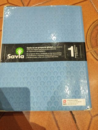 Lengua castellana y literatura. 1 Bachillerato....