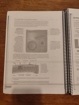 LIBRO 2⁰ BACHILLERATO BIOLOGÍA.