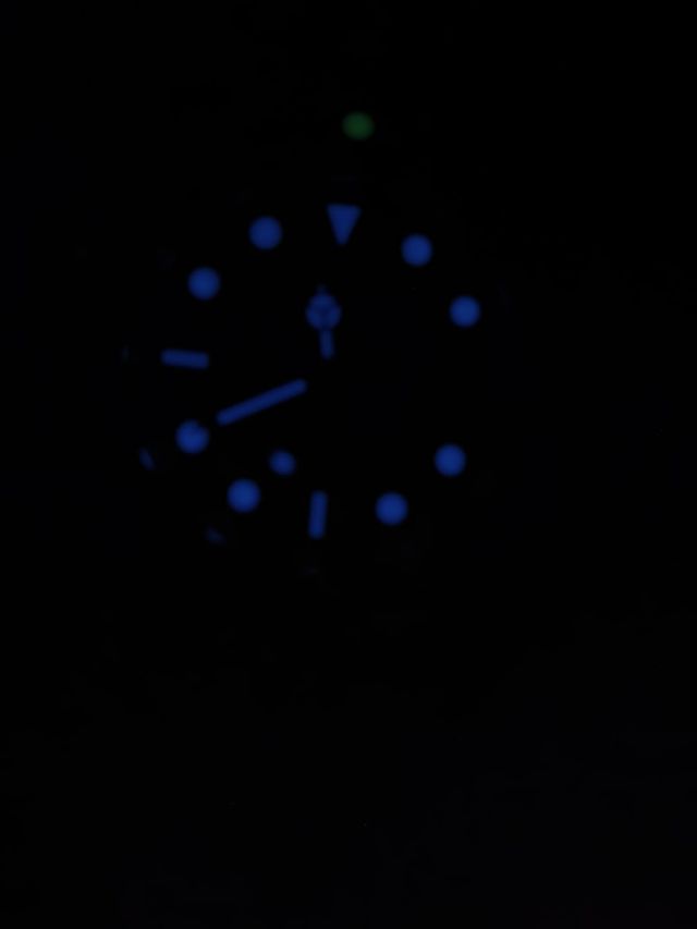 Reloj Pagani Design Verde