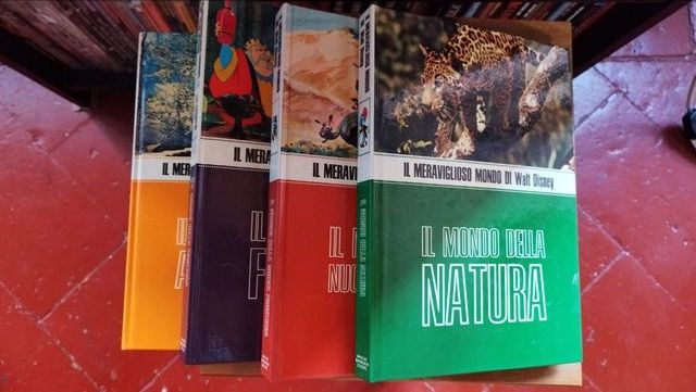 il meraviglioso mondo di walt disney