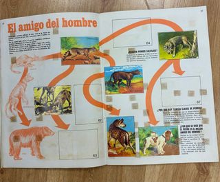 Lote Cromos Bimbo y Disney Años 60-70