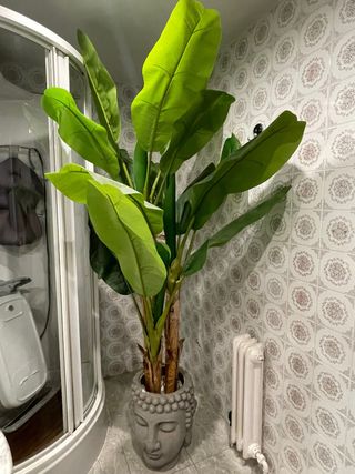 Bananera artificial grande y maceta cabeza de Buda