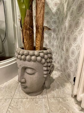 Bananera artificial grande y maceta cabeza de Buda