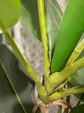 Bananera artificial grande y maceta cabeza de Buda