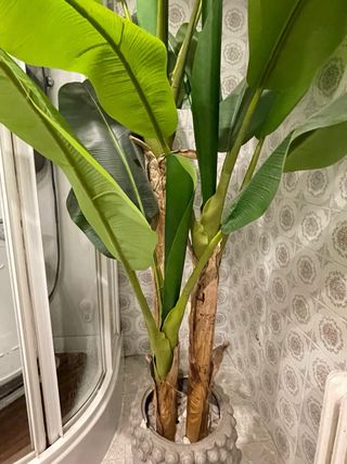Bananera artificial grande y maceta cabeza de Buda