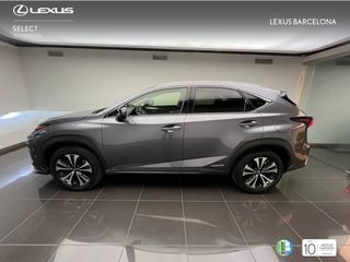 Lexus NX300h PREMIUM 2021 REF 0704