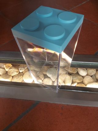 Contenitore trasparente con coperchio