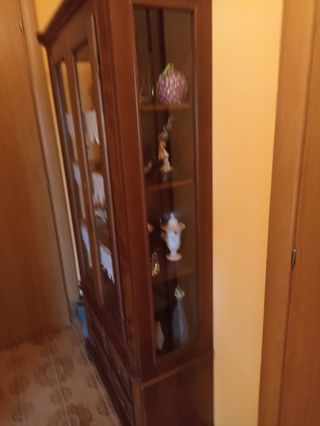 Vetrina in legno e vetro marrone