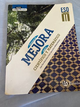científico y matemático 