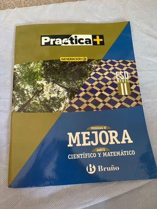 científico y matemático 
